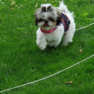 Meet your Posher, Barbara